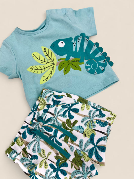 Conjunto camaleón tropical.