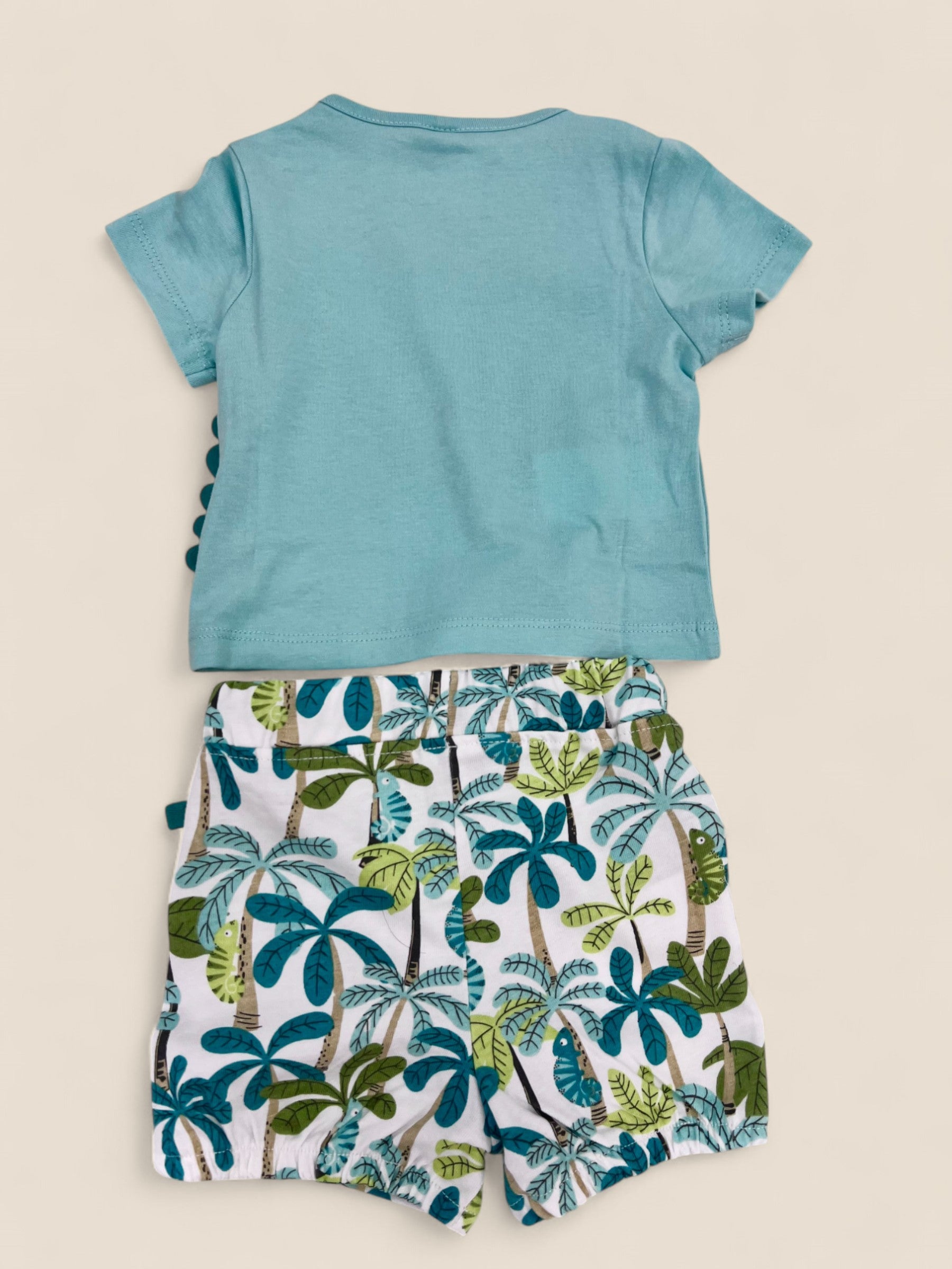 Conjunto camaleón tropical.